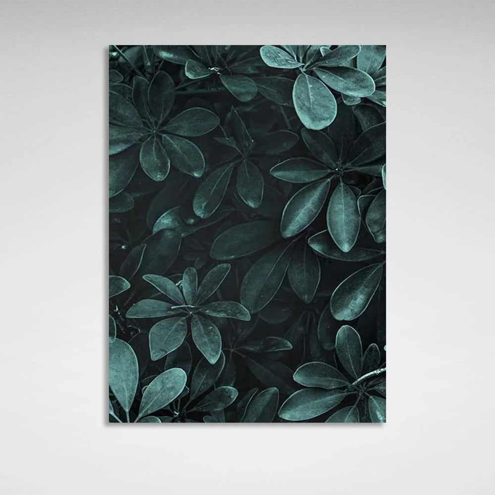 Canvas Wall Art Print Schefflera bush