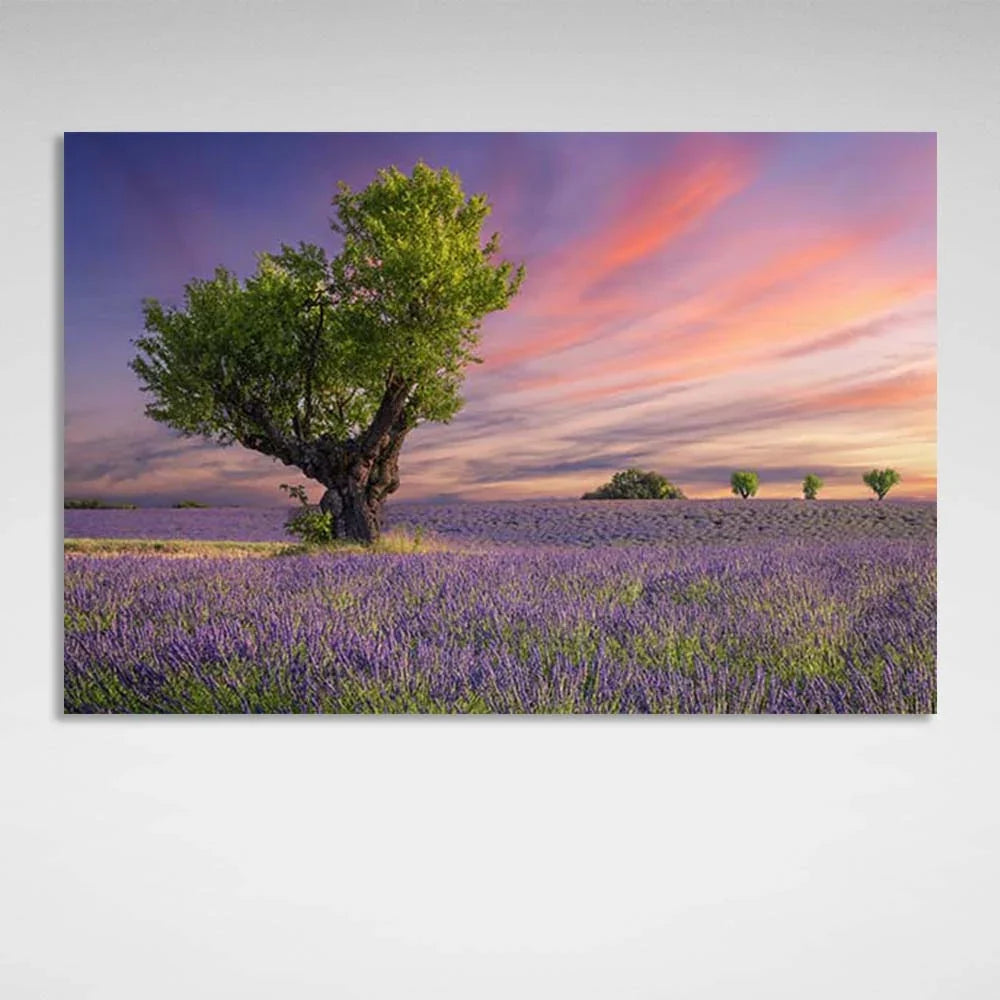 Canvas Wall Art Print Tree in a lavender field