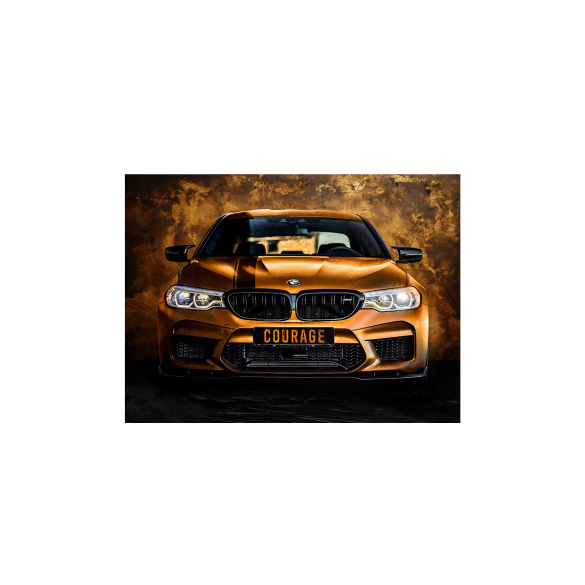 BMW COURAGE BACKSIDE Canvas Wall Art