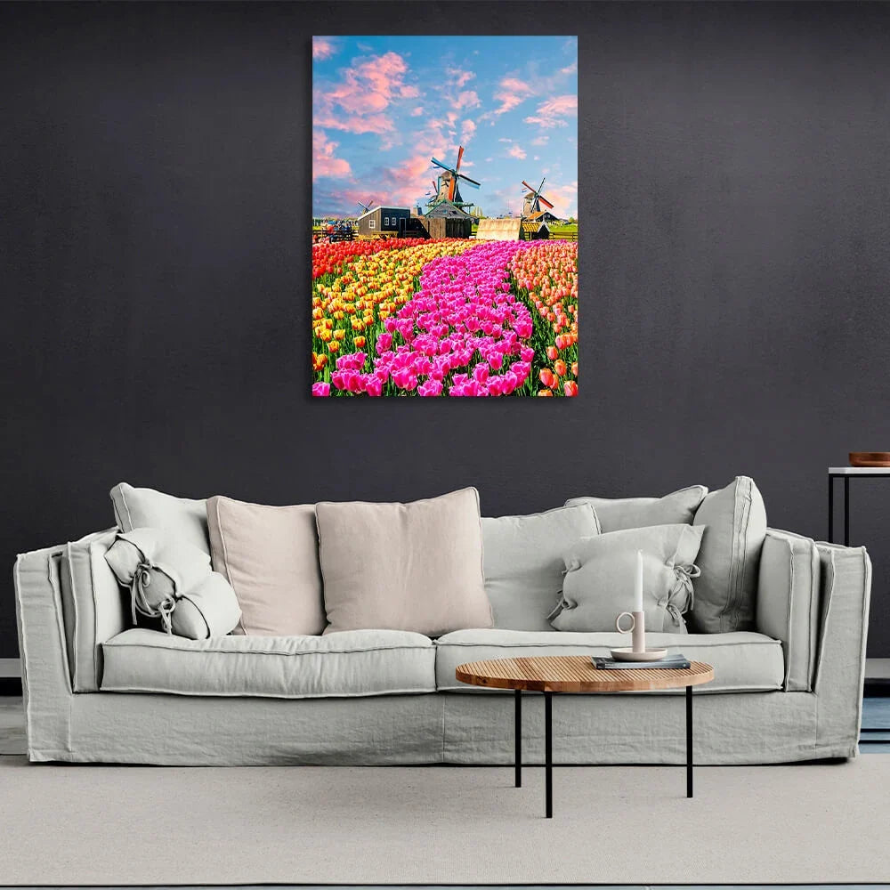 A field of tulips near the mill houses. Canvas Wall Art Print
