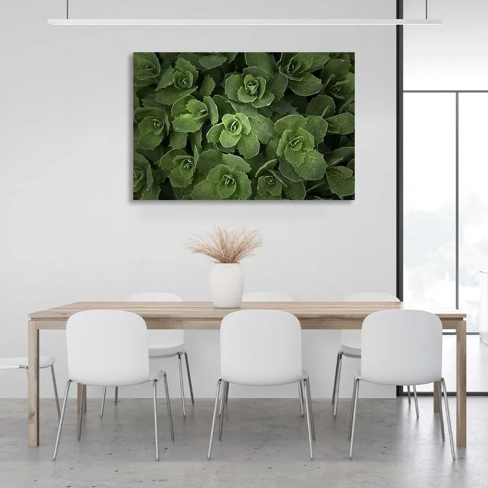 Canvas Wall Art Print Sedum bush