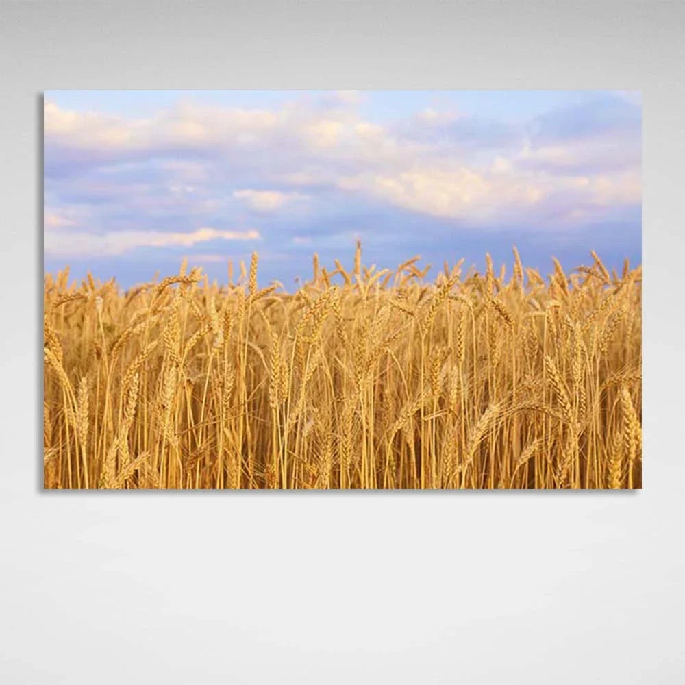 Canvas Wall Art Print Wheat field