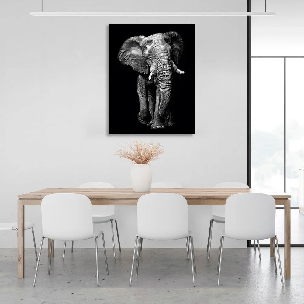 Huge elephant on a black background Canvas Wall Art Print