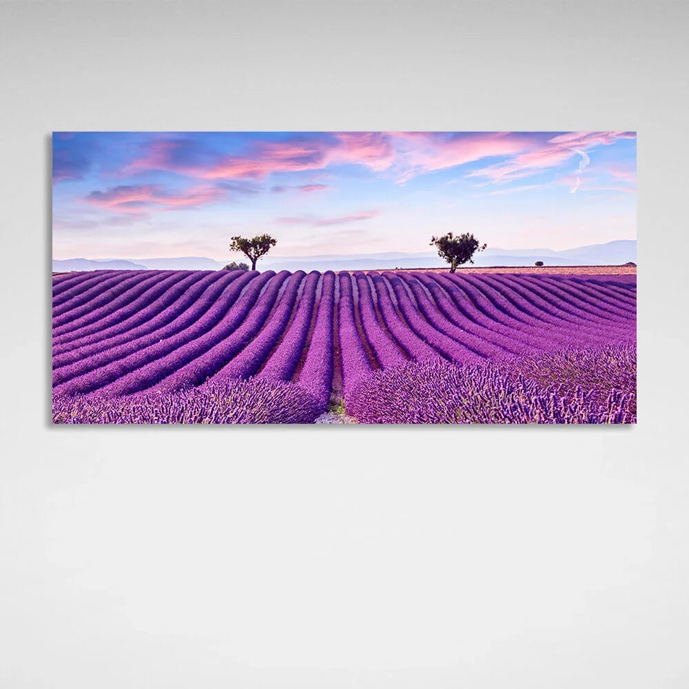 Lavender field in purple flowers Canvas Wall Art Print