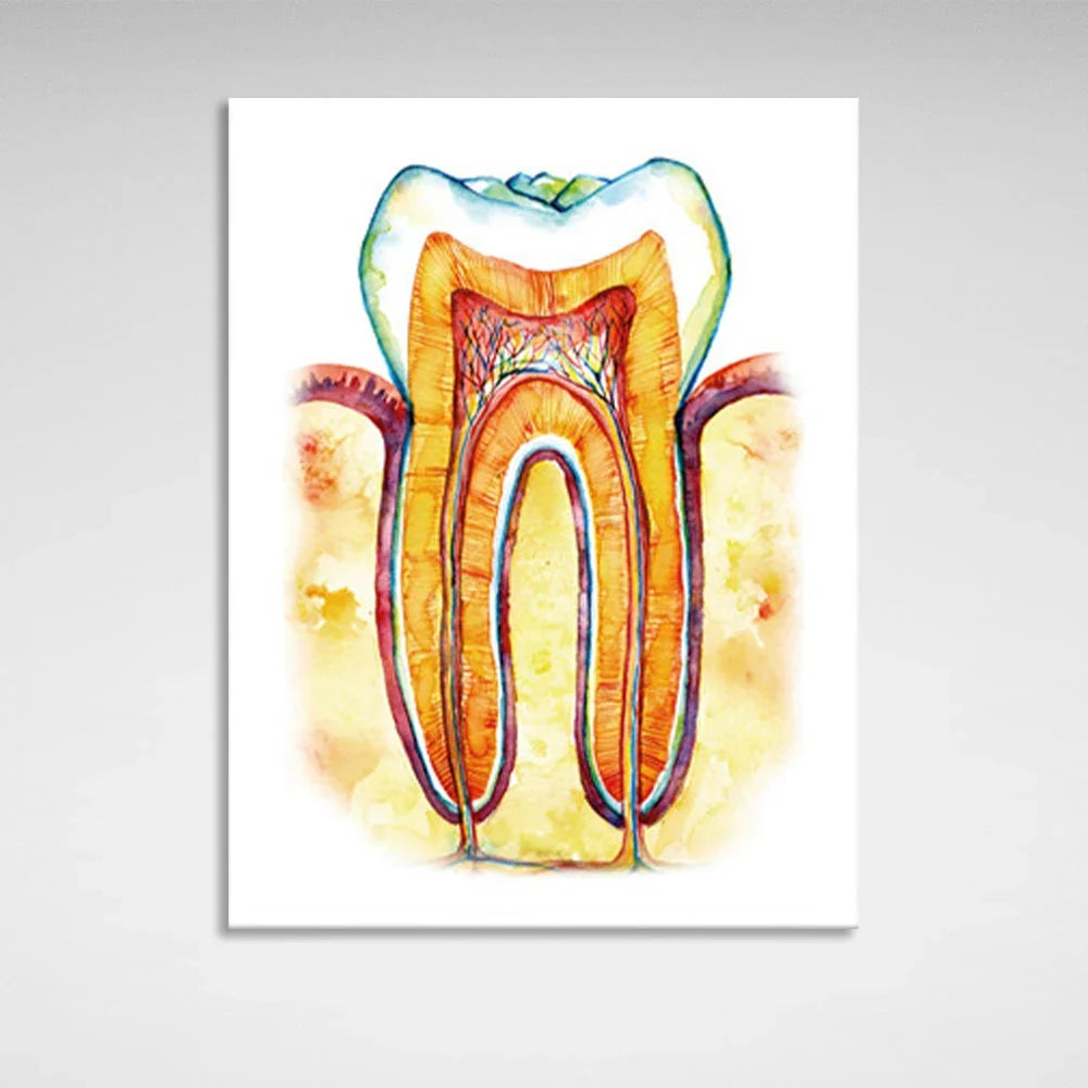 Tooth Canvas Wall Art Print